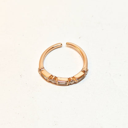 Eternity Silver Ring (RG)